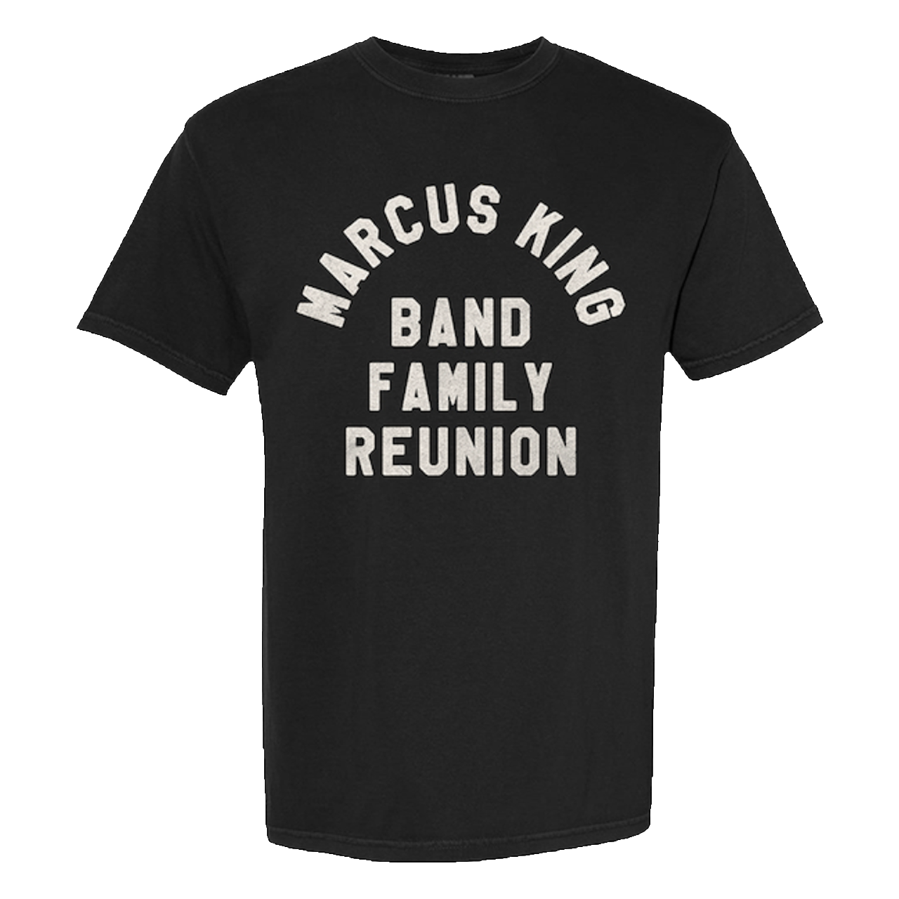 2025 Family Reunion Lock Up Tee